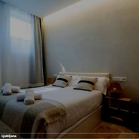 Vehovec Appartamento Lubiana